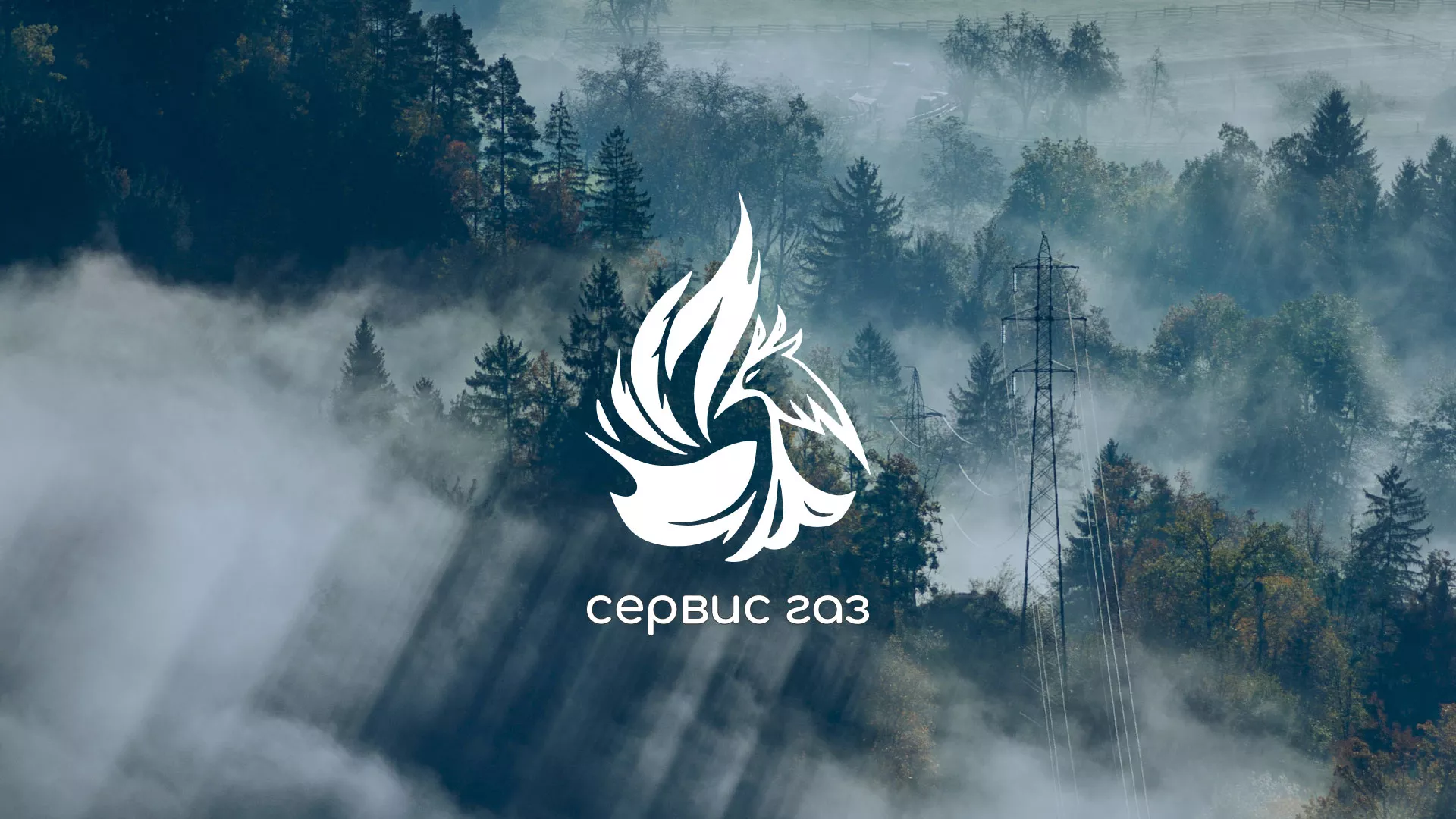 Создание сайта компании «Сервис газ» в Пошехонье