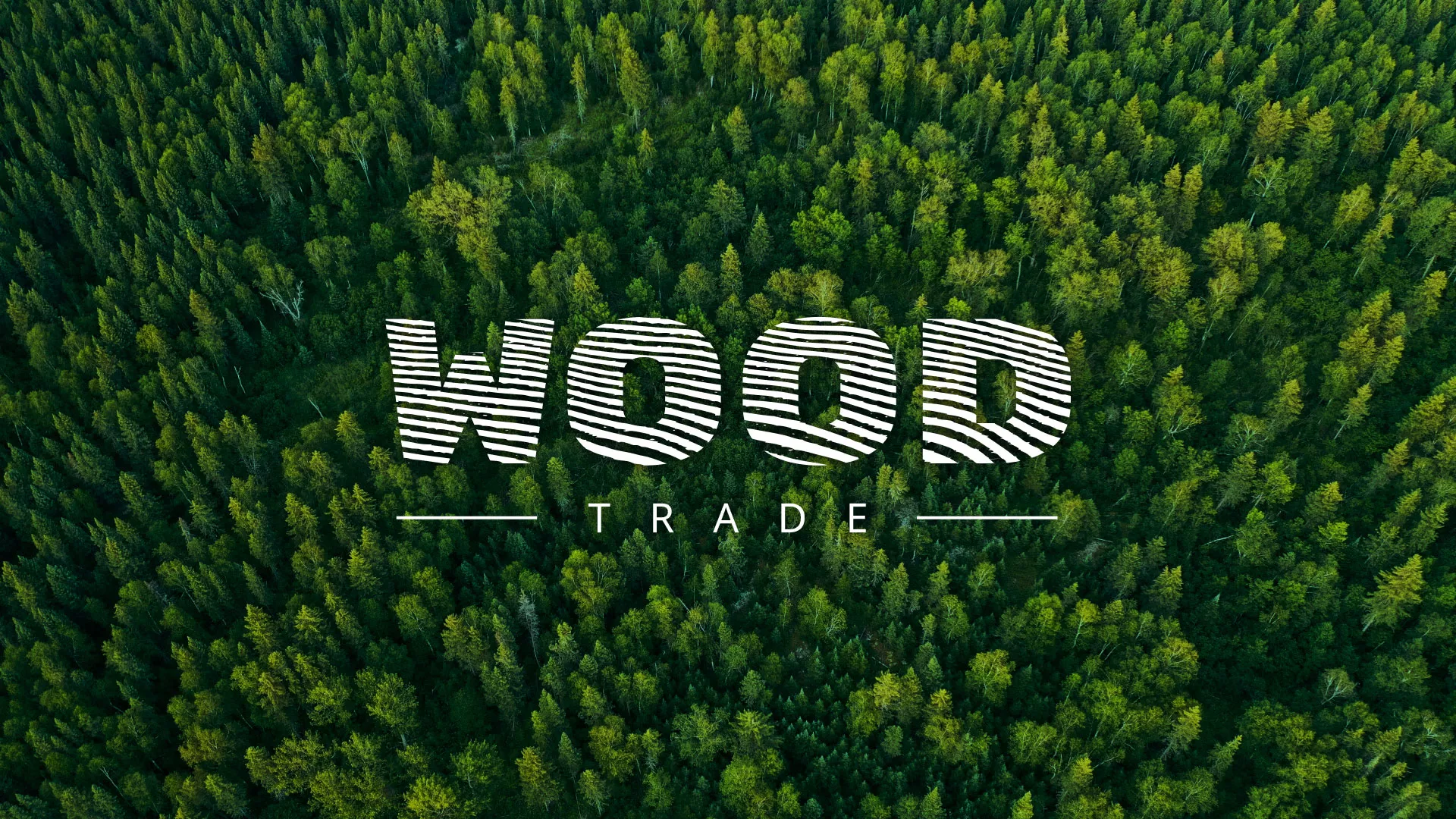 Разработка интернет-магазина компании «Wood Trade» в Пошехонье