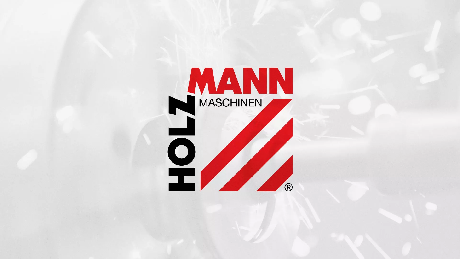 Создание сайта компании «HOLZMANN Maschinen GmbH» в Пошехонье
